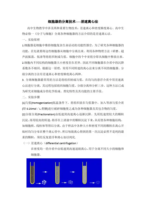 细胞器的分离技术-----差速离心法