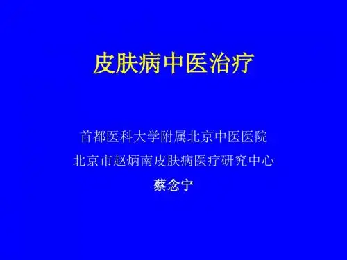 皮肤病中医治疗幻灯