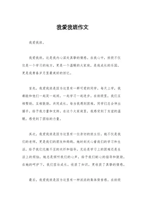 我爱我班作文