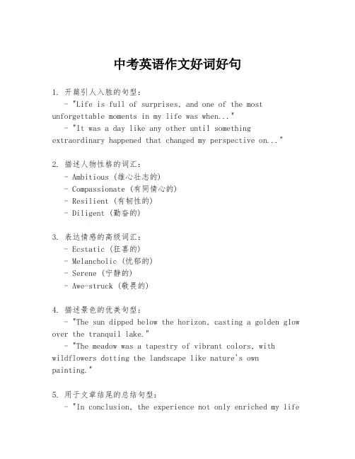 中考英语作文好词好句