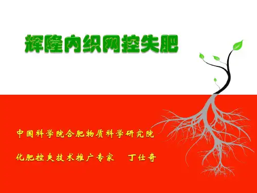 辉隆内织网型复合肥(2014年11月11日)