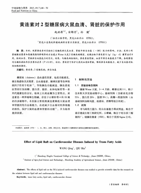 黄连素对2型糖尿病大鼠血清、肾脏的保护作用