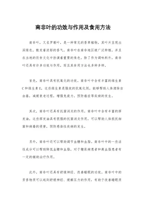 南非叶的功效与作用及食用方法