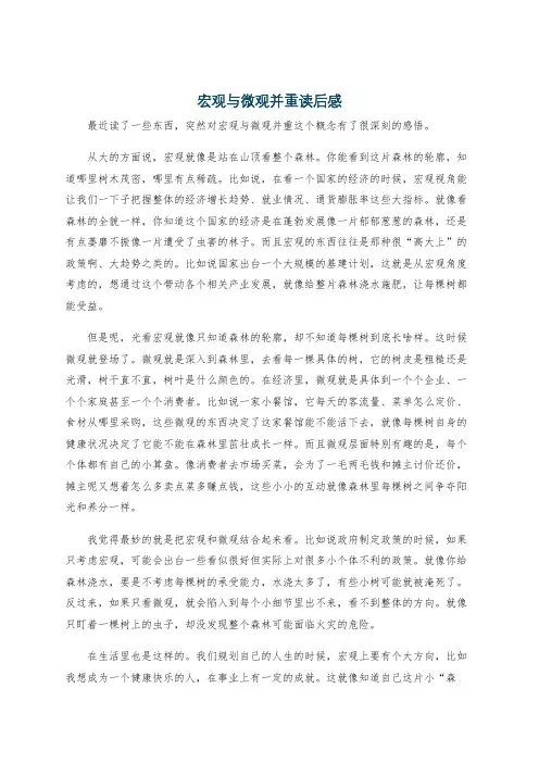 宏观与微观并重读后感
