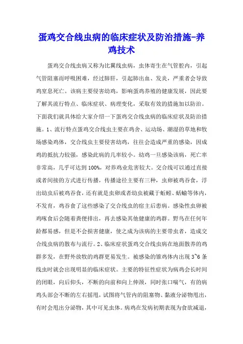 蛋鸡交合线虫病的临床症状及防治措施 - 养鸡技术