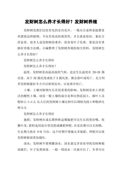 发财树怎么养才长得好？发财树养殖