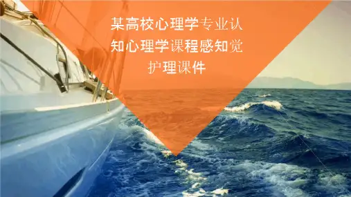 某高校心理学专业认知心理学课程感知觉护理课件