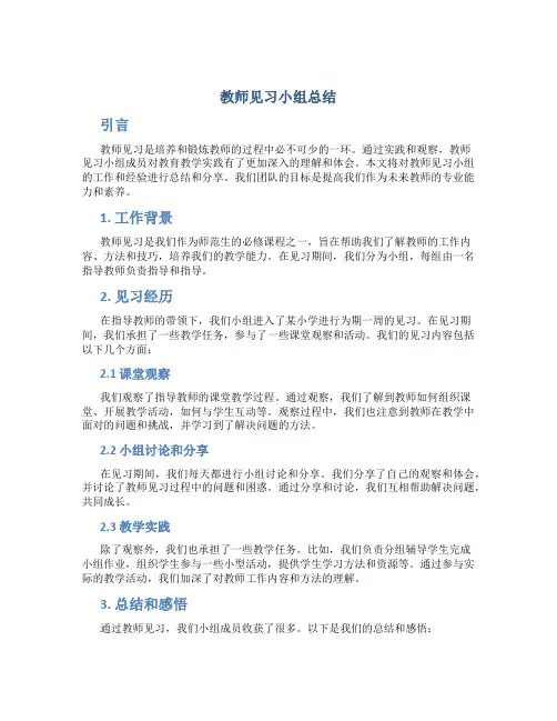 教师见习小组总结