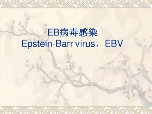 EB病毒