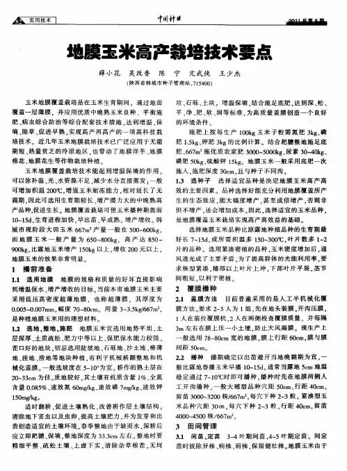地膜玉米高产栽培技术要点