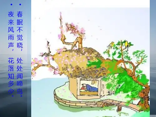 寂静的春天ppt.