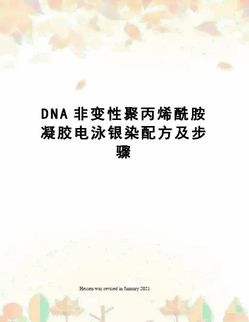 DNA非变性聚丙烯酰胺凝胶电泳银染配方及步骤