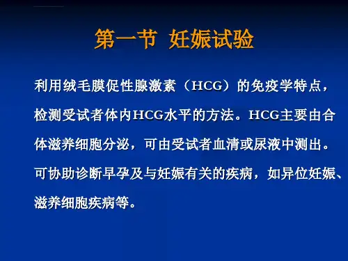 常用检查及特殊检查ppt课件
