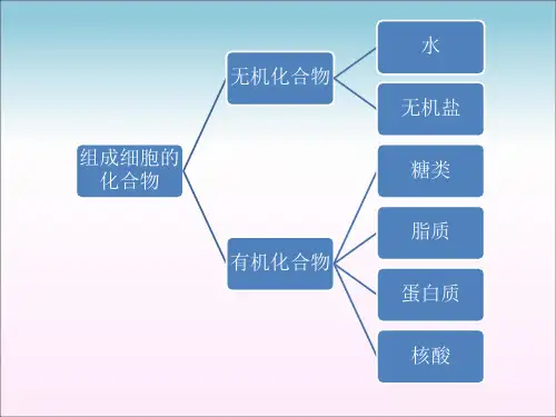 高二生物必修一糖类和脂质ppt课件.ppt