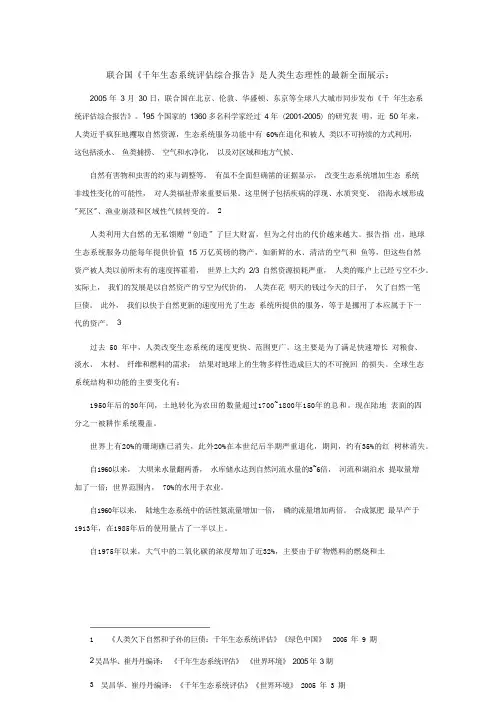 (2023版)联合国千年评估(新版)