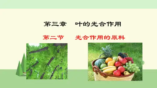 冀少版 生物 八年级上册     光合作用的原料