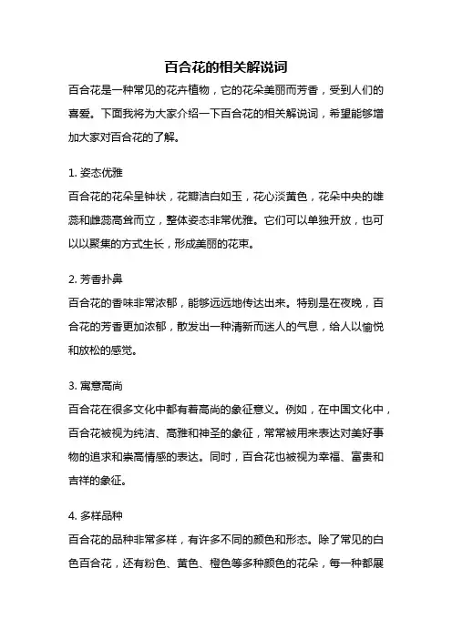 百合花的相关解说词