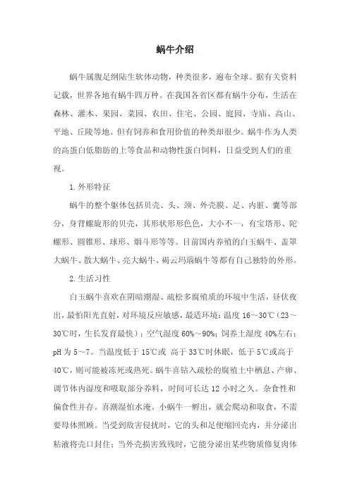 蜗牛介绍