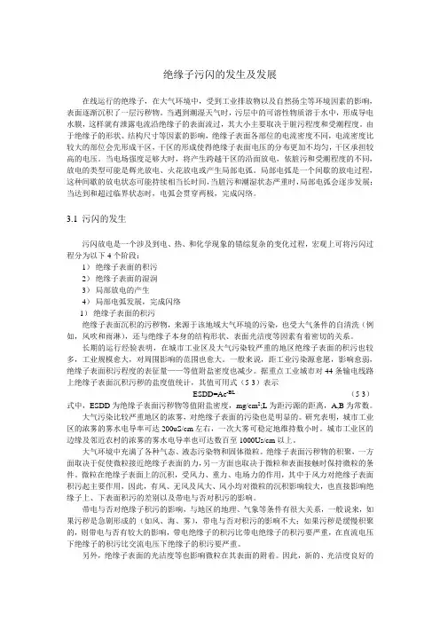 绝缘子污闪的发生及发展