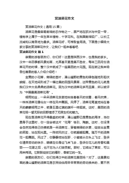 赏油菜花作文