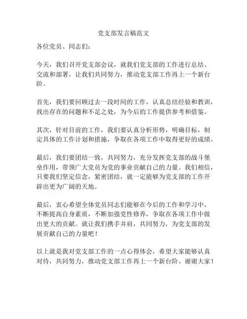 党支部发言稿范文