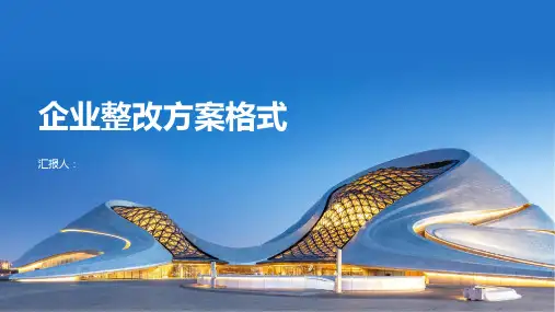 企业整改方案格式范文