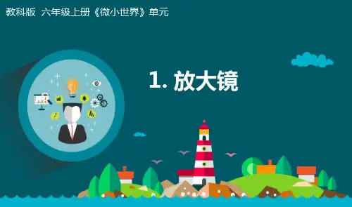 最新教科版小学科学六年级上册《放大镜》教学课件