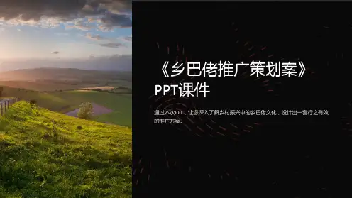 《乡巴佬推广策划案》课件