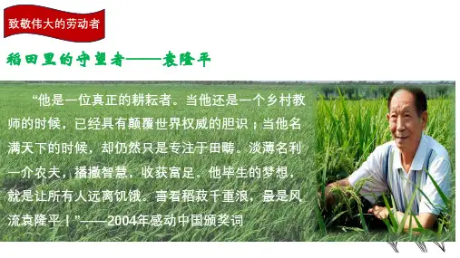 《喜看稻菽千重浪》课件19张统编版高中语文必修上册
