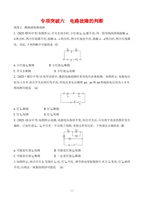 2024年中考物理总复习专项突破六电路故障的判断