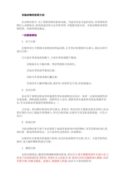 实验动物的给药方法