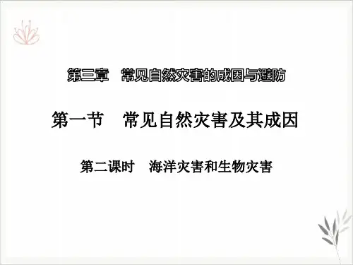 常见自然灾害及其成因常见自然灾害的成因与避防课件(最新版)