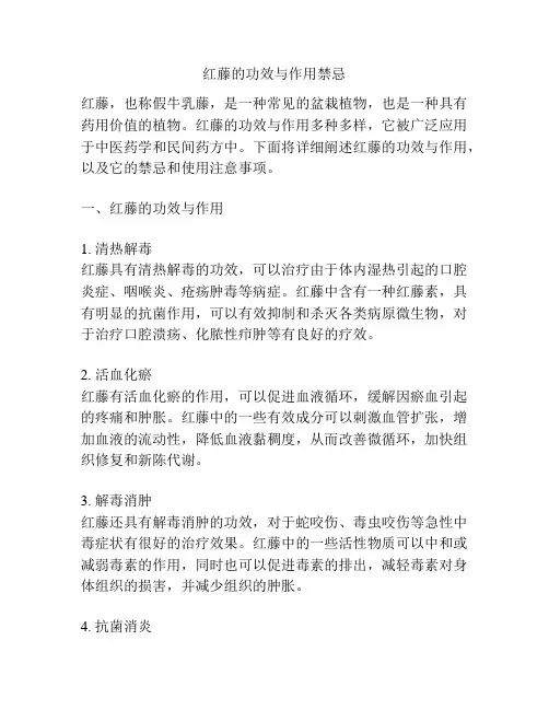 红藤的功效与作用禁忌