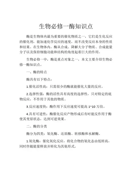 生物必修一酶知识点