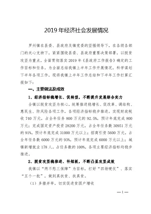 2019年经济社会发展情况