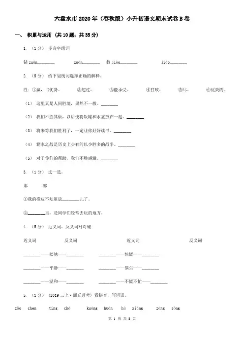 六盘水市2020年(春秋版)小升初语文期末试卷B卷(新版)