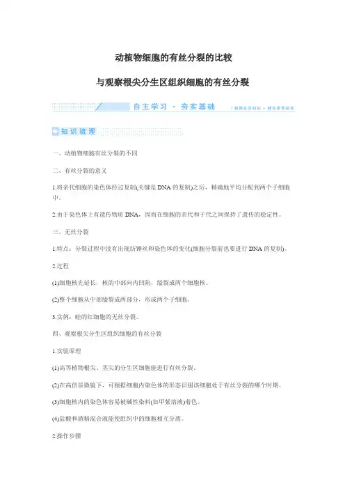 动植物细胞的有丝分裂的比较