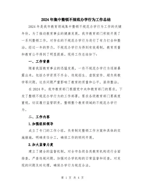 2024年集中整顿不规范办学行为工作总结