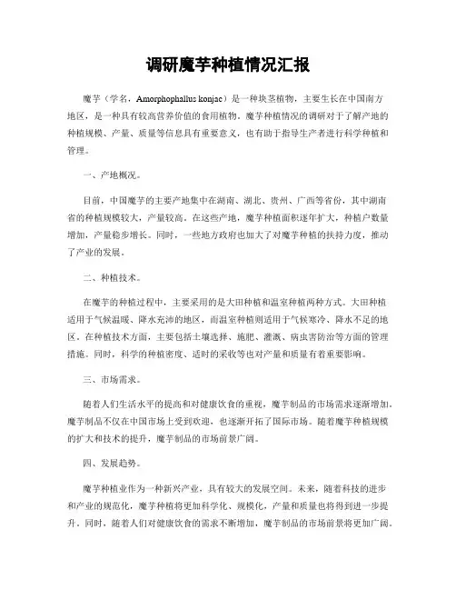调研魔芋种植情况汇报