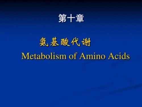 第10章氨基酸代谢(药学系)