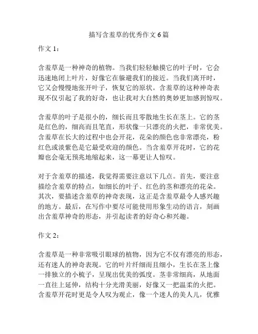 描写含羞草的优秀作文6篇