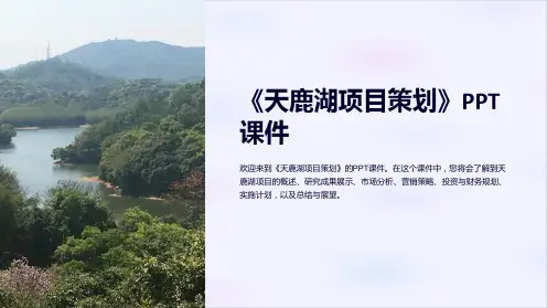 《天鹿湖项目策划》课件
