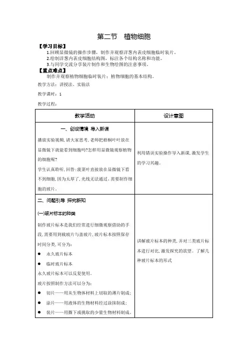 第二节植物的细胞-观察并绘制植物细胞结构图教案-2023--2024学年人教版生物七年级上册