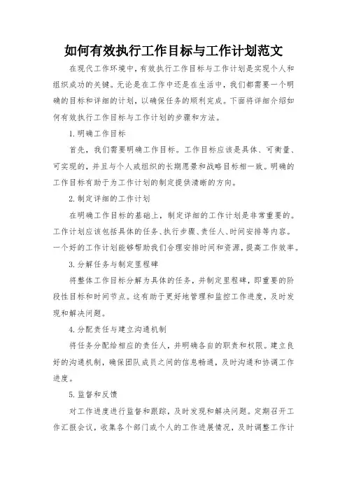 如何有效执行工作目标与工作计划范文