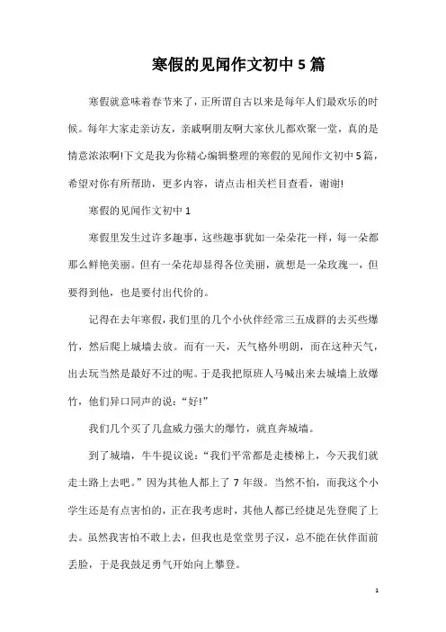 寒假的见闻作文初中5篇