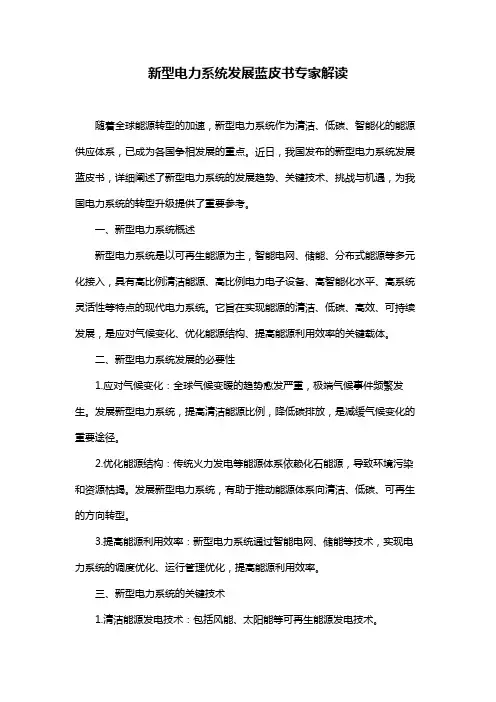 新型电力系统发展蓝皮书专家解读