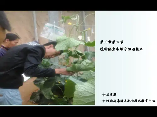 职业学校教学能力比赛说课课件