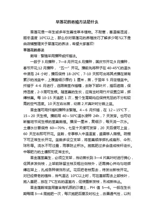 旱莲花的养殖方法是什么