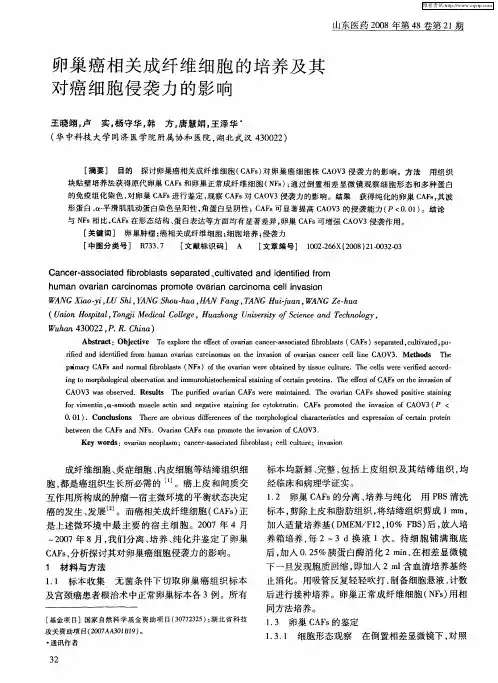 卵巢癌相关成纤维细胞的培养及其对癌细胞侵袭力的影响