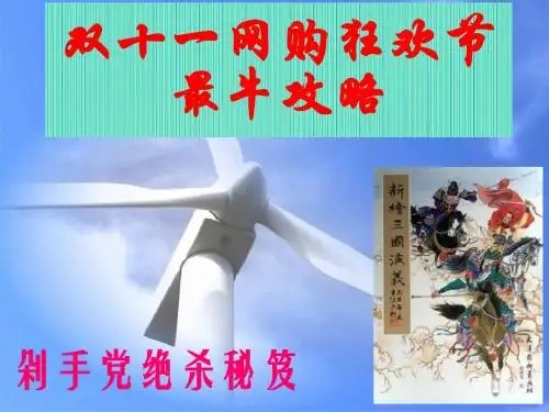 双11绝杀攻略